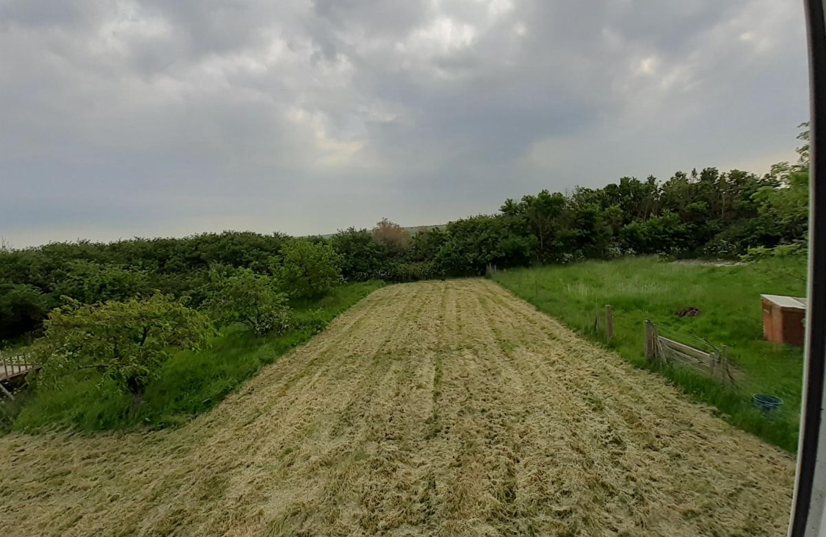 image 14