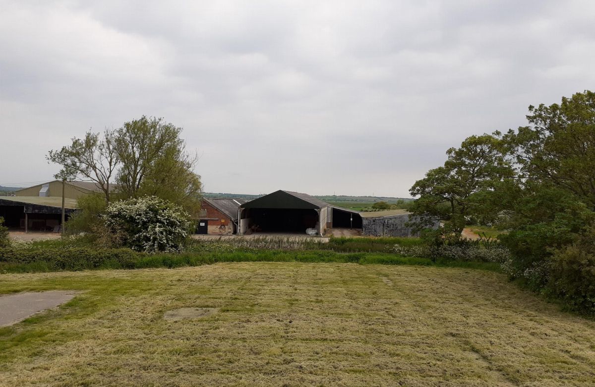 image 16