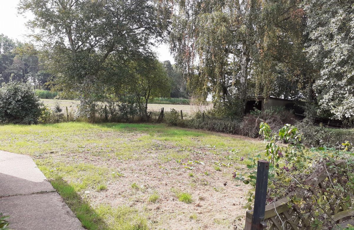 image 14