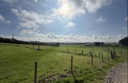 Smallholding